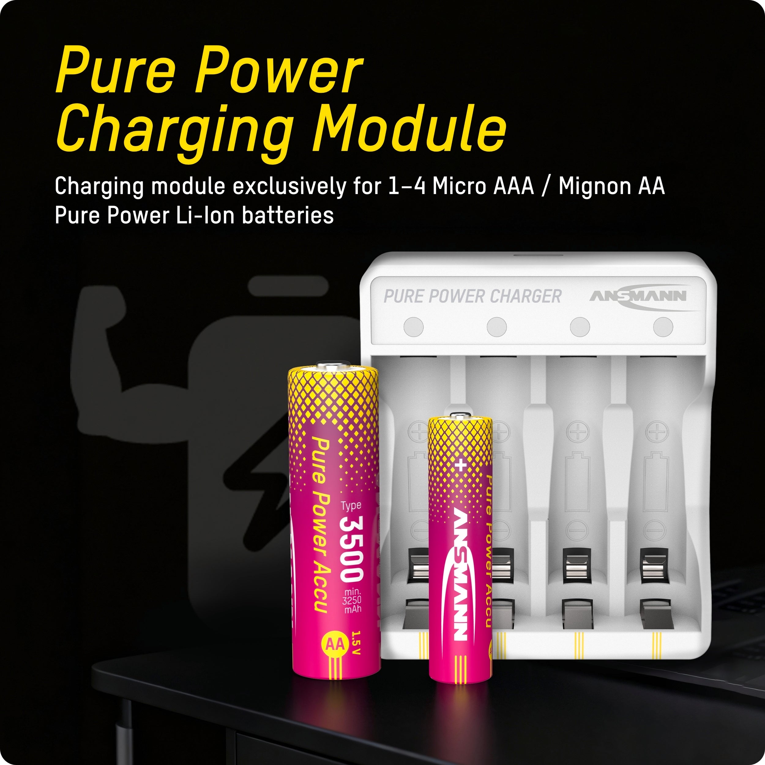 Ansmann Pure Power Li-Ion Battery Charger